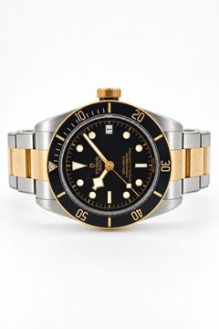 Tudor Heritage Black Bay S&G (OT179)